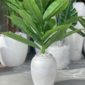 قوار جرة منمش حجر صغير