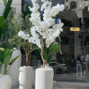 شجرة لوز ورد ابيض