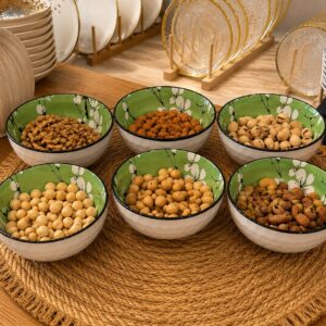 طقم 6 زبادي مكسرات اخضر